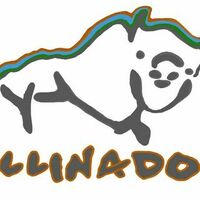 Illinado LLC