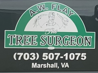 Tree Surgeon LLC 
