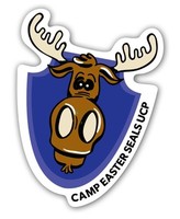 Camp Easterseals UCP
