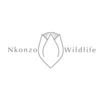 Nkonzo Wildlife Research